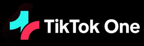 TikTok One